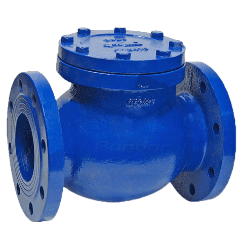 Swing Check Valve